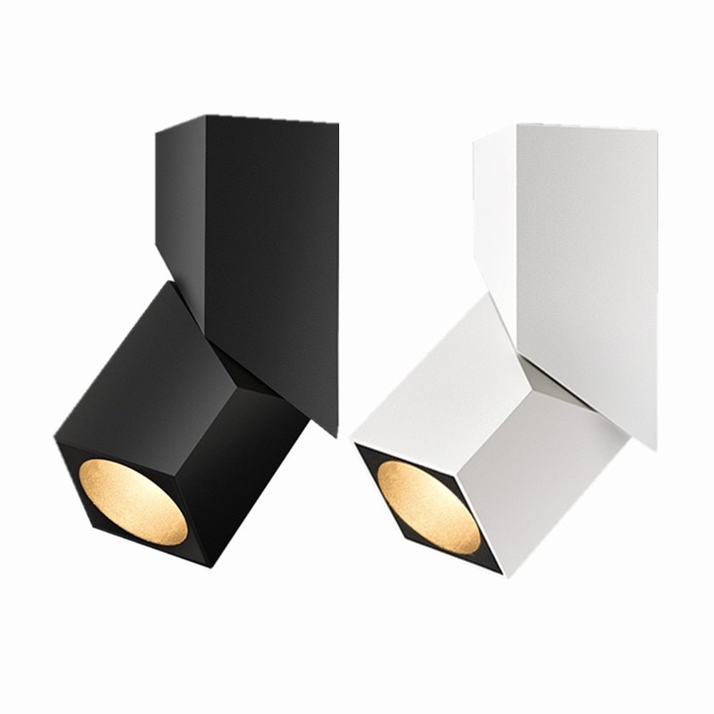 Square Adjustable Surface Mounted Downlight Fixture